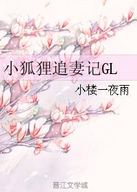 小狐狸追妻記GL