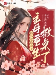 抬外室換親子？主母重生掀桌了