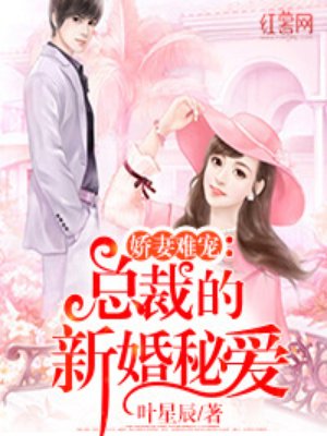 總裁的新婚秘愛