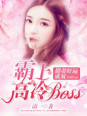 霸上高冷boss：甜妻好孕成雙