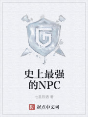 史上最強的NPC