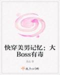 快穿美男記憶：大Boss有毒